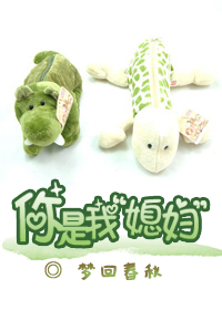 你是我媳妇TXT全集封面