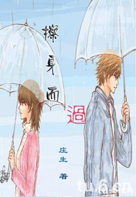 擦身而过TXT全集封面