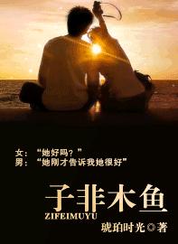 子非木鱼TXT全集封面