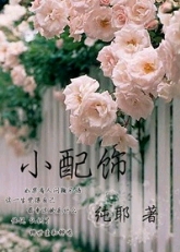 小配饰TXT全集封面