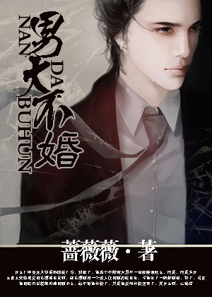 男大不婚TXT全集封面