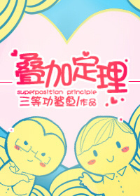 叠加定理TXT全集封面