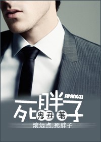 死胖子TXT全集封面