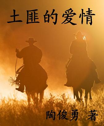 土匪的爱情TXT全集封面