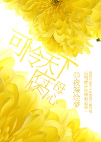 可怜天下腐母心TXT全集封面