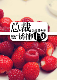 总裁诱捕计划TXT全集封面