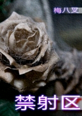 禁射区TXT全集封面