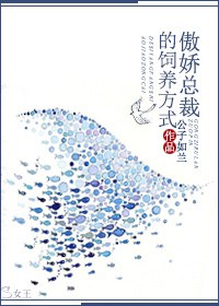 傲娇总裁的饲养方式TXT全集封面