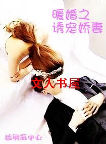 暖婚之诱宠娇妻TXT全集封面