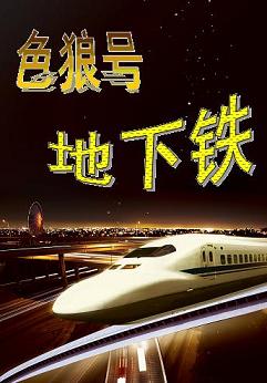 色狼号地下铁TXT全集封面