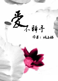爱不释手TXT全集封面
