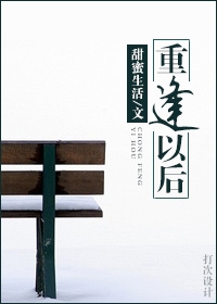 重逢以后TXT全集封面