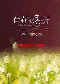 有花堪折TXT全集封面