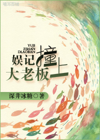 娱记撞上大老板TXT全集封面