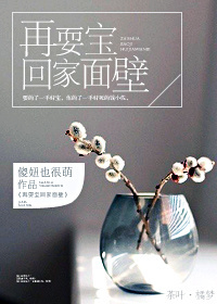 再耍宝回家面壁TXT全集封面