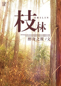 枝林TXT全集封面