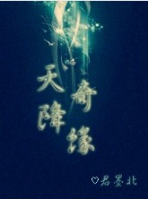 天降奇缘TXT全集封面