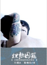 炽热囚笼TXT全集封面