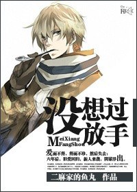 没想过放手TXT全集封面