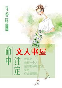 命中注定TXT全集封面