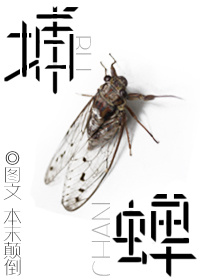 捕蝉TXT全集封面