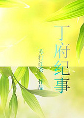 丁府纪事TXT全集封面