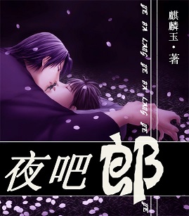 夜吧郎TXT全集封面