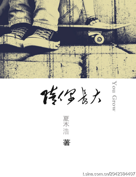 陪你长大TXT全集封面