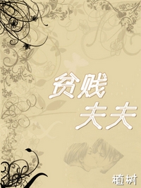 贫贱夫夫TXT全集封面