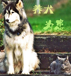 养犬为患TXT全集封面