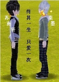 终其一生,只爱一次TXT全集封面
