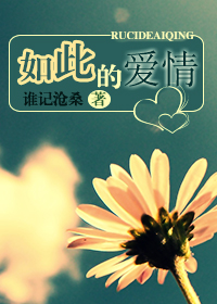 如此的爱情TXT全集封面