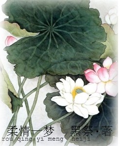 柔情一梦TXT全集封面