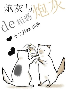 炮灰与炮灰的相遇TXT全集封面