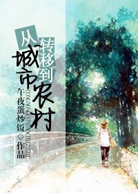 从城市转移到农村TXT全集封面