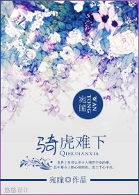 骑虎难下TXT全集封面