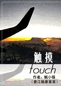 触摸TXT全集封面