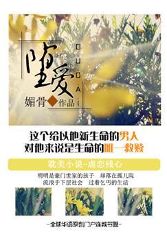 堕爱TXT全集封面