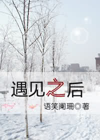 遇见之后TXT全集封面