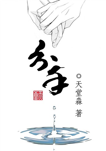 分手TXT全集封面