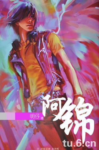 阿锦TXT全集封面