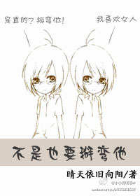 不是也要掰弯他TXT全集封面
