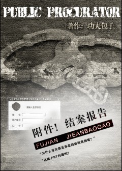 附件!结案报告TXT全集封面