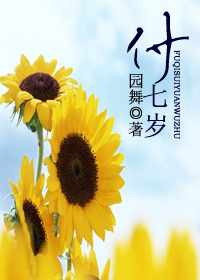 付七岁TXT全集封面