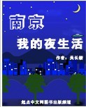 南京我的夜生活TXT全集封面