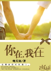 你在,我在TXT全集封面