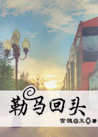 勒马回头TXT全集封面