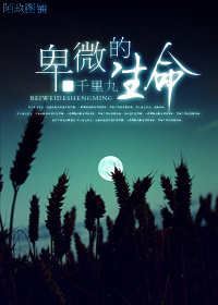 卑微的生命TXT全集封面