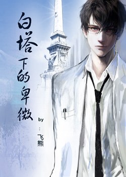 白塔下的卑微TXT全集封面