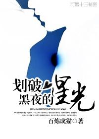 划破黑夜的星光TXT全集封面